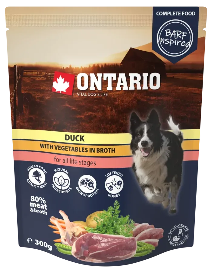 Ontario kachna se zeleninou ve vývaru