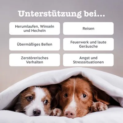 Zesty Paws Calming Chews Truthahn zu TOP-Preisen