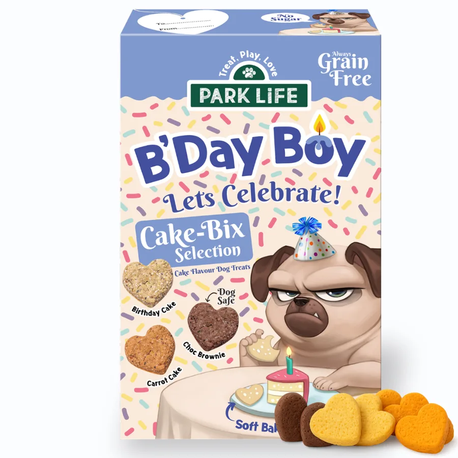 Park Life Cake-Bix B'Day Boy Cake Dog Treats
