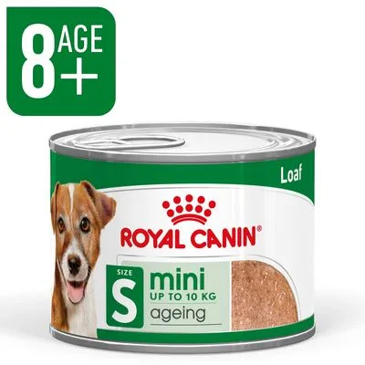 Royal Canin Mini Ageing Mousse zu TOP-Preisen