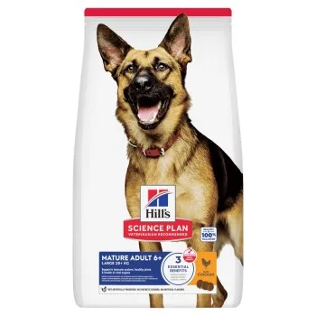 Hill's Science Plan Science Plan Trockenfutter Hund, Large Breed Mature Adult, mit Huhn