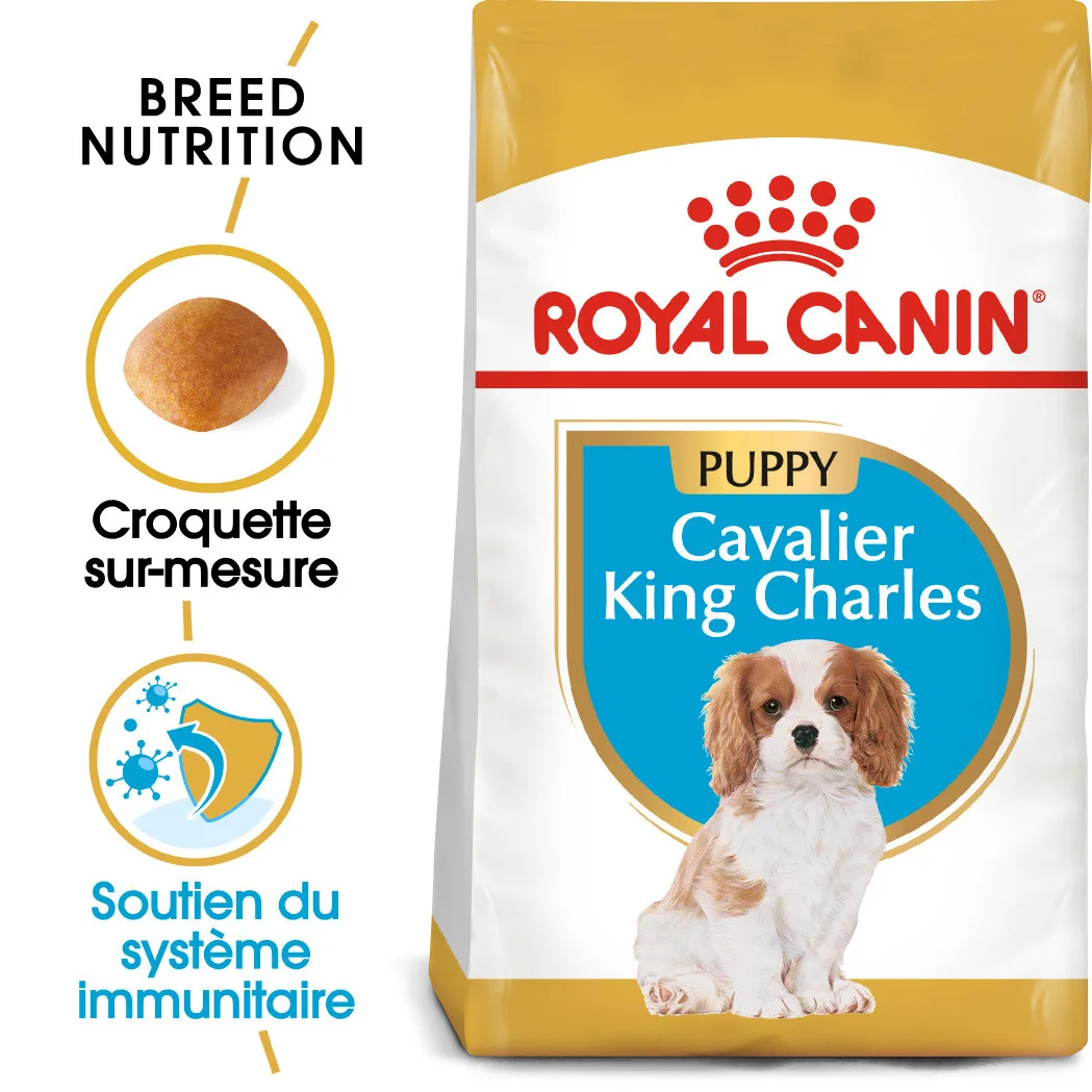 Royal Canin Puppy Cavalier King Charles Puppy
