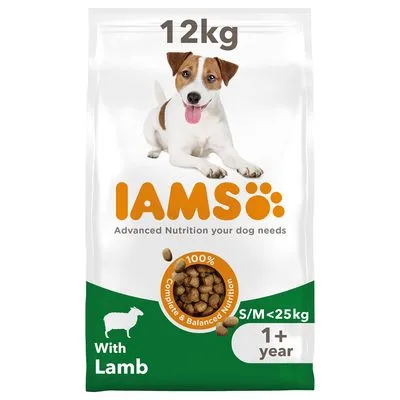 IAMS Advanced Nutrition Adult Small & Medium Dog con cordero