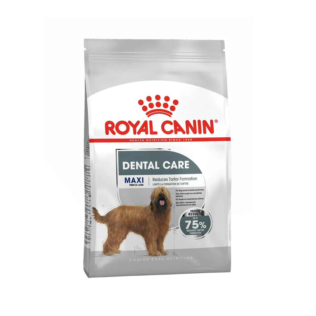 Royal Canin Maxi Dental Care - Alimentation