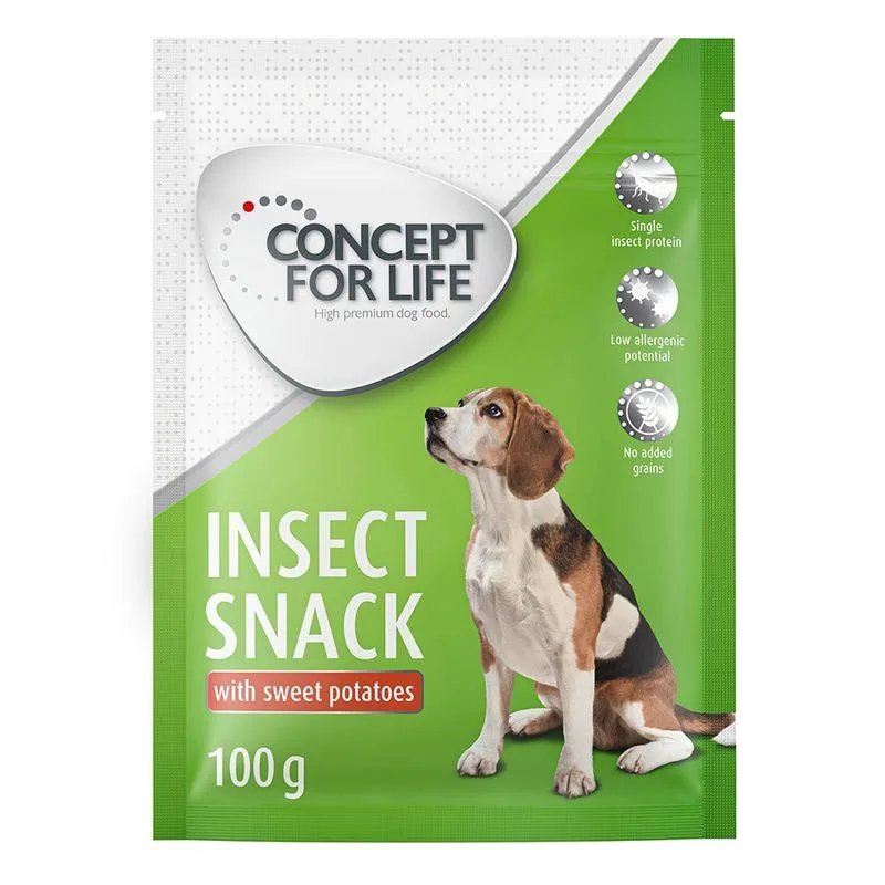 Concept for Life Insect Snack bataatti