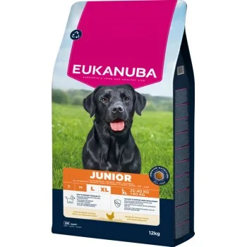 Eukanuba Junior L/XL - Riche en Poulet Frais