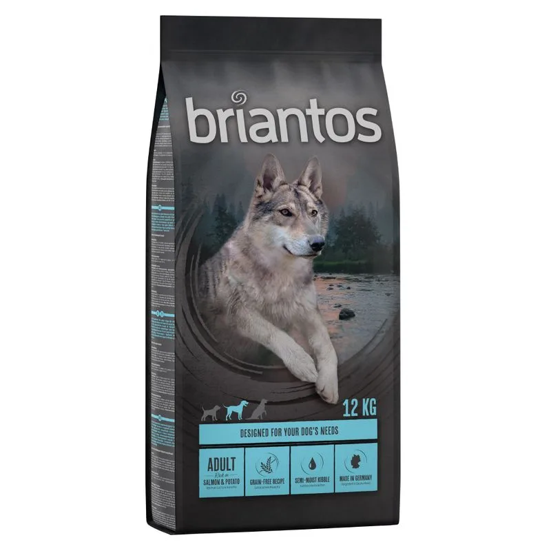 Briantos Adult losos & krompir – BREZ ŽIT