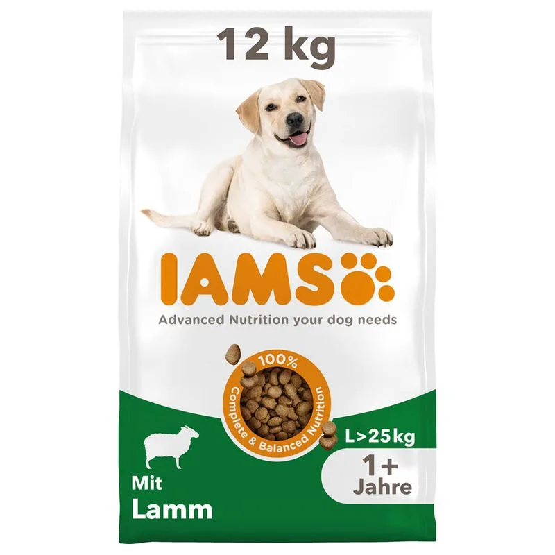 IAMS Advanced Nutrition Adult Large Dog s jehněčím