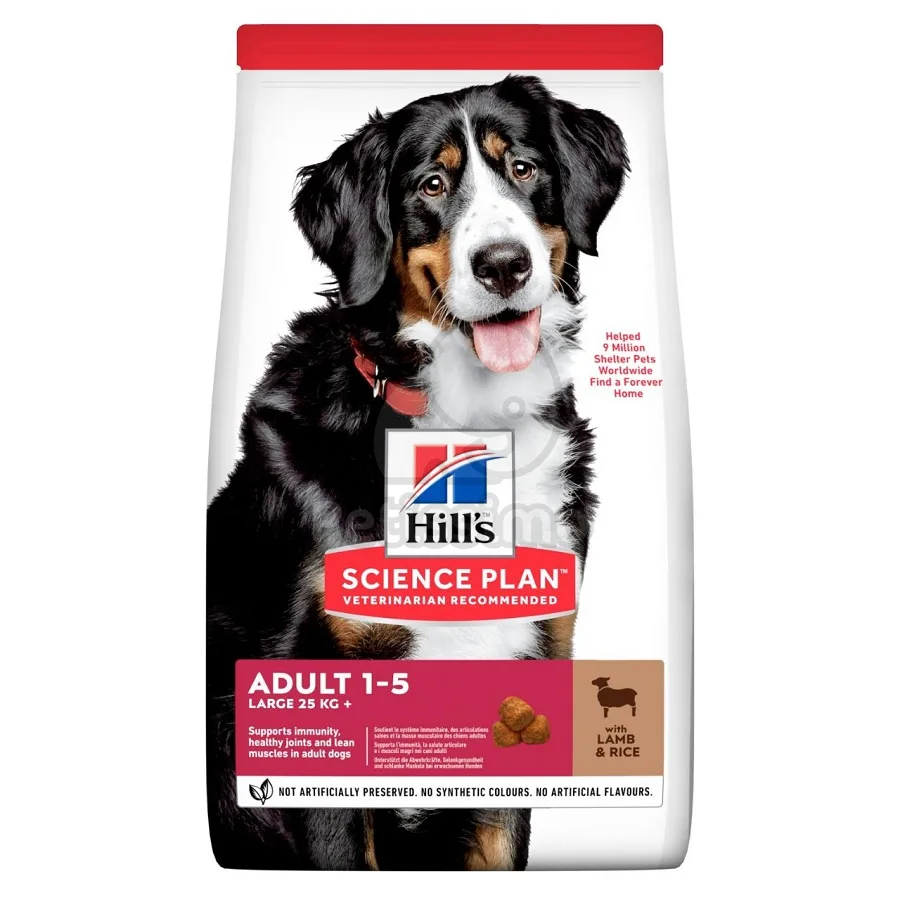 Hill's Science Plan Science Plan Adult Large Breed , bárány és rizs