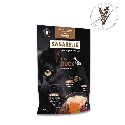 Bosch HPC Juicy Land-Ente