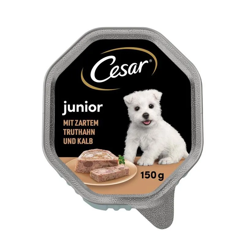 Cesar Junior mističky