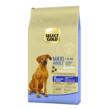 SELECT GOLD Sensitive Adult Maxi Dry Dog Food Water Buffalo & Tapioca