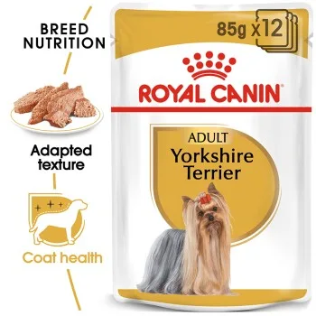 Royal Canin Adult Yorkshire Terrier Mousse Wet Dog Food