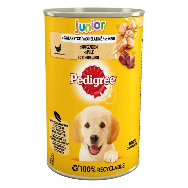 Pedigree Junior