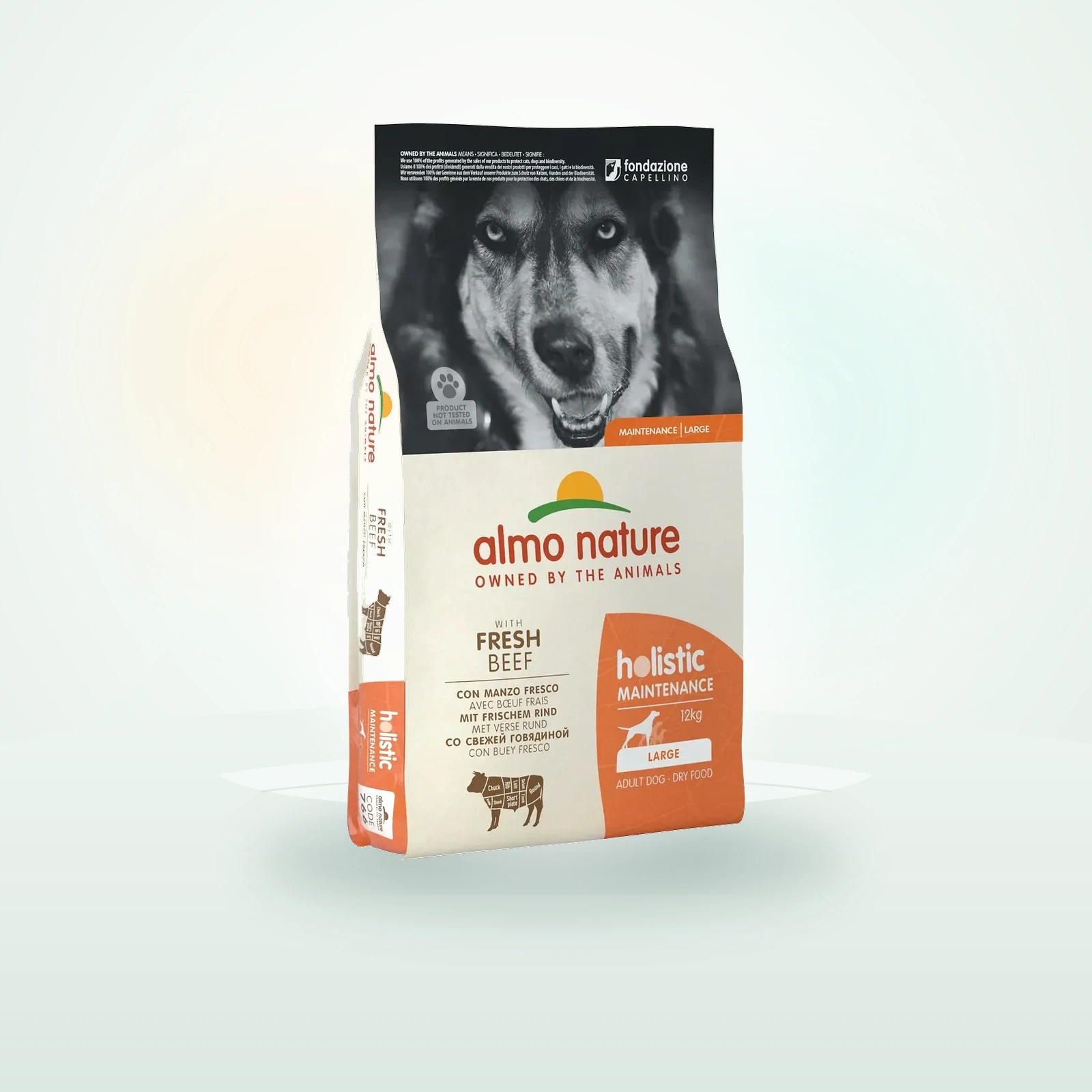 Almo Nature Holistic Maintenance Dog Large Manzo e Riso