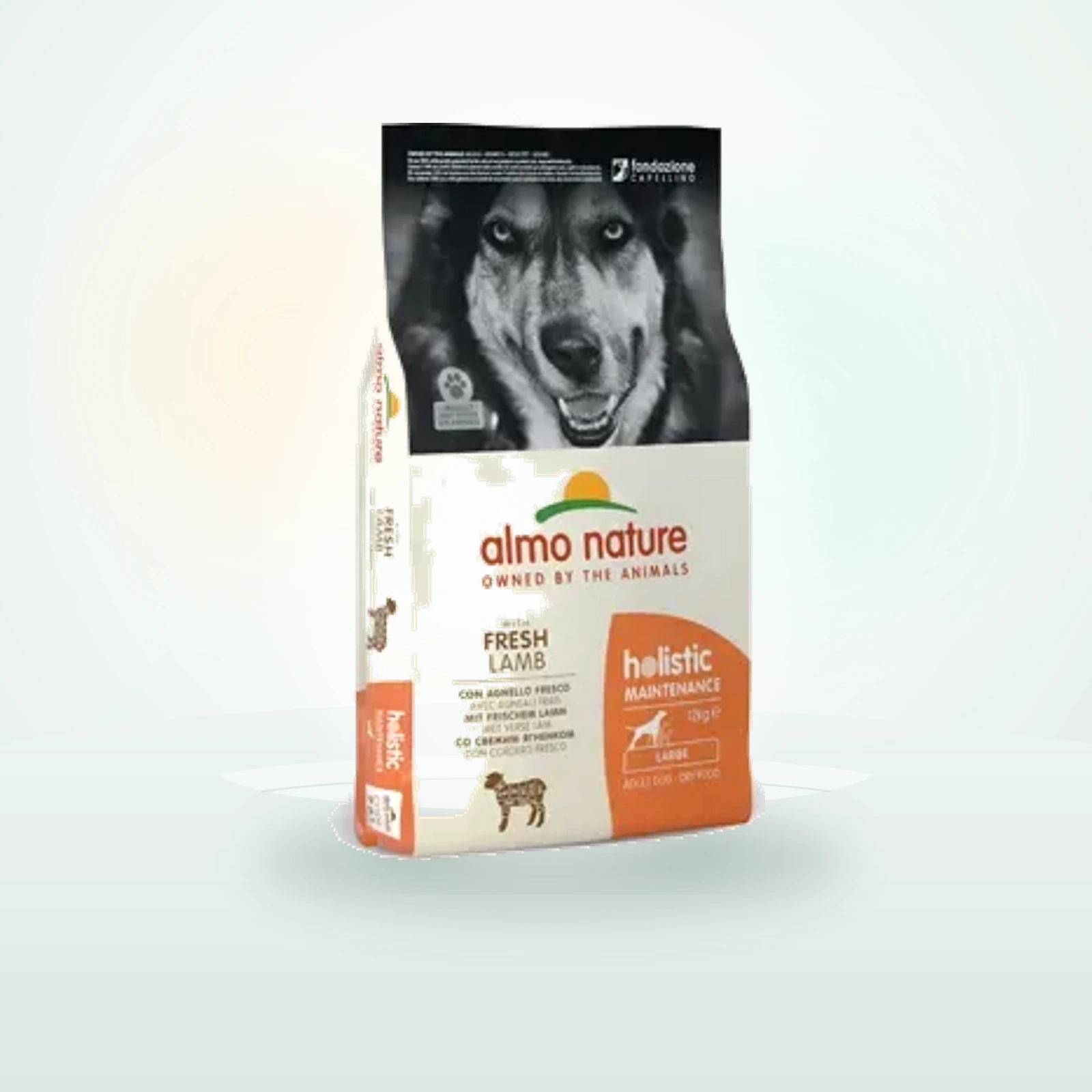 Almo Nature Holistic Maintenance Large Agnello