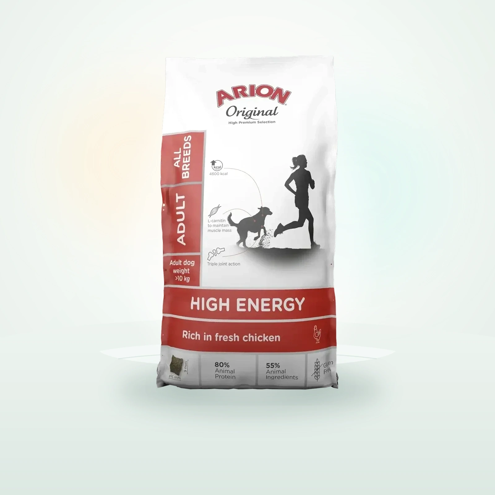 Arion High Energy