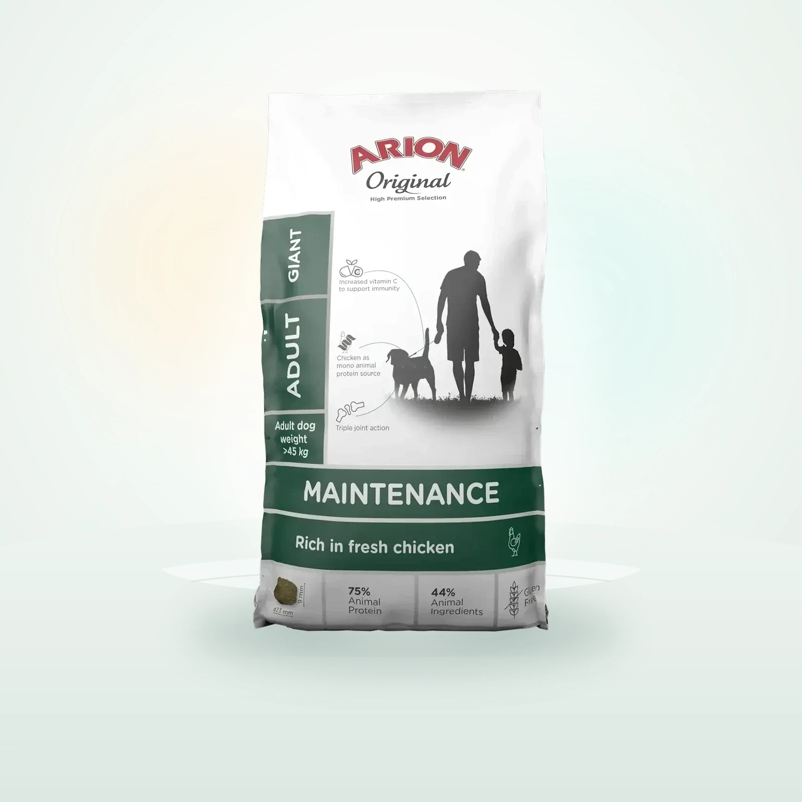 Arion Maintenance