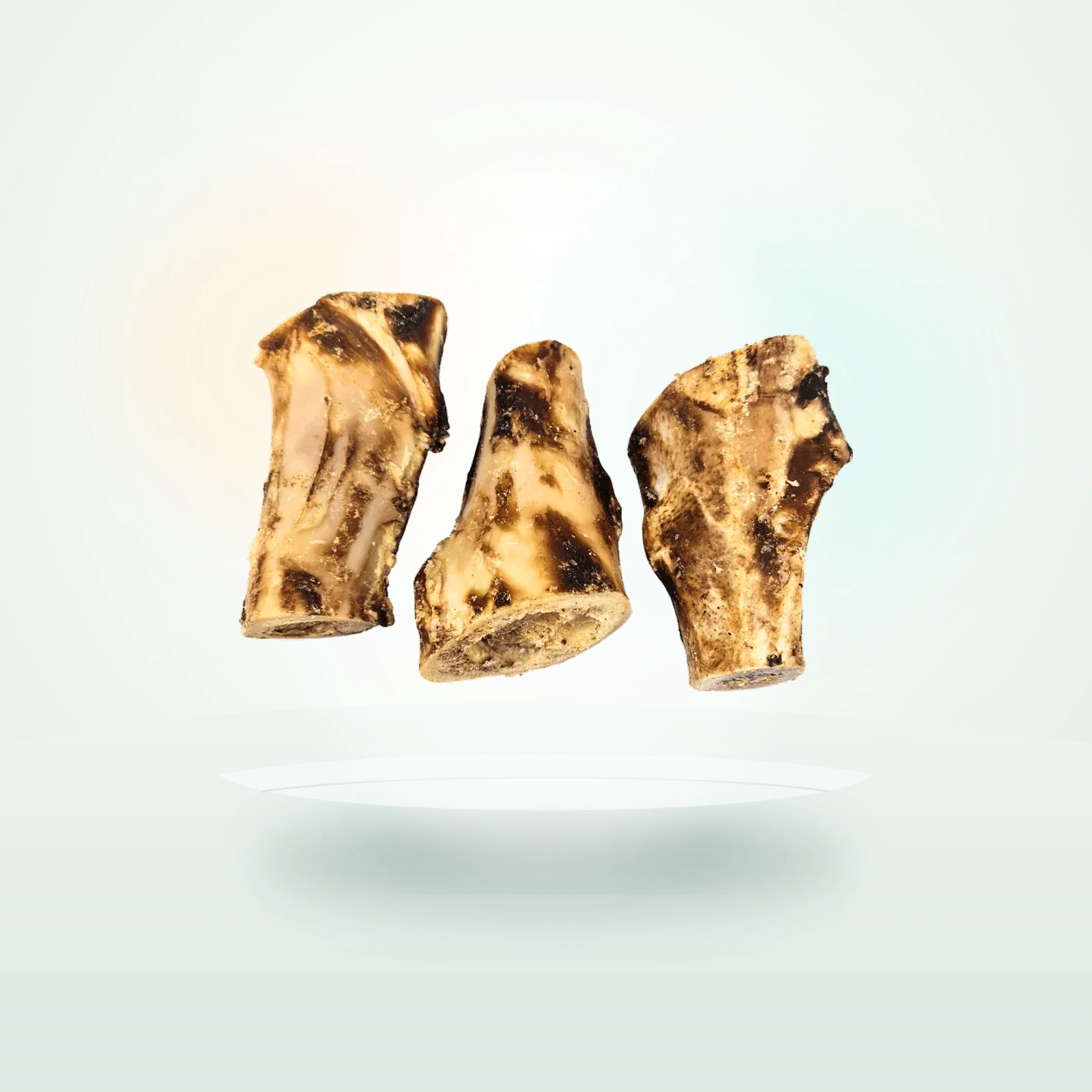 Atlas & Tail Cut Beef Bone