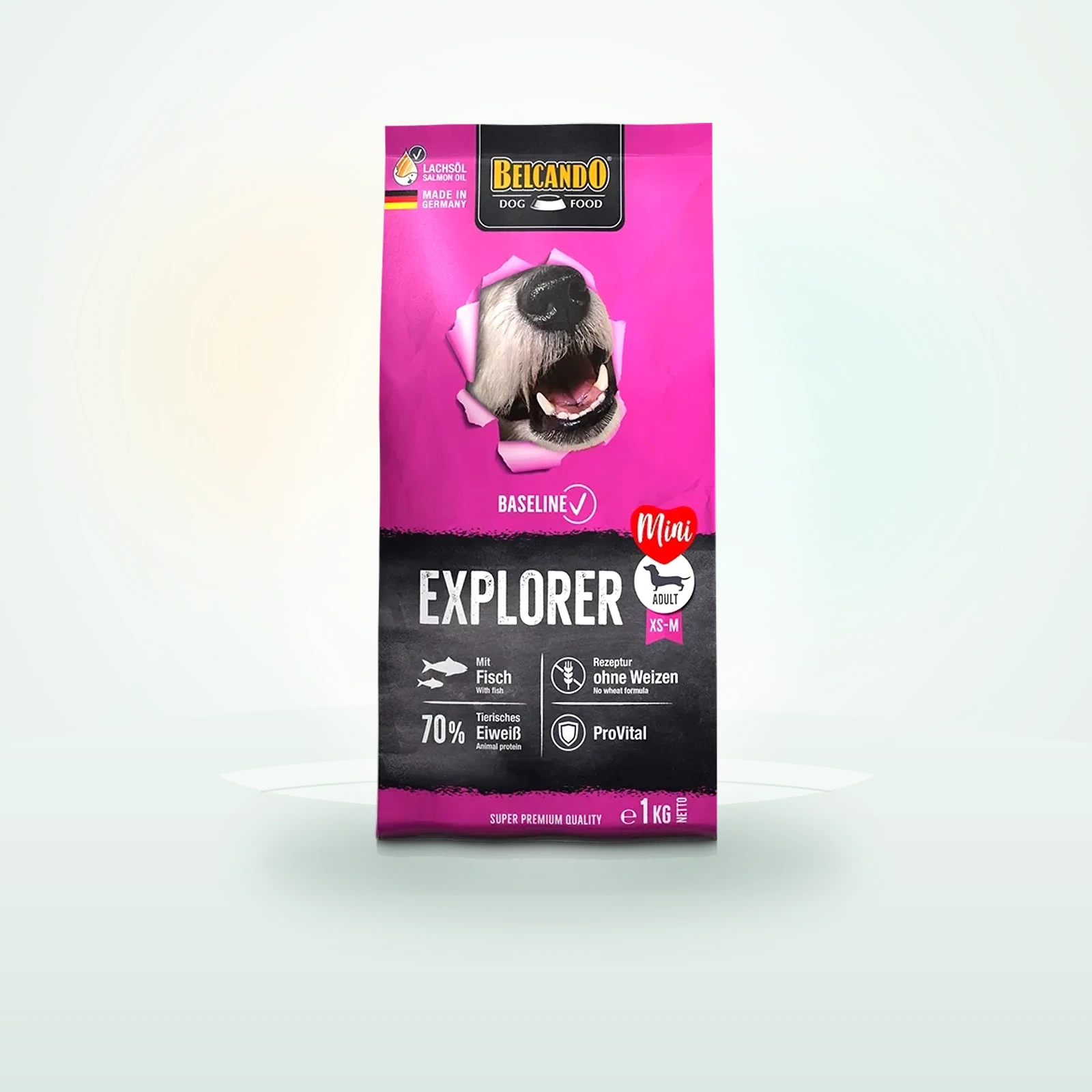Belcando Baseline Explorer