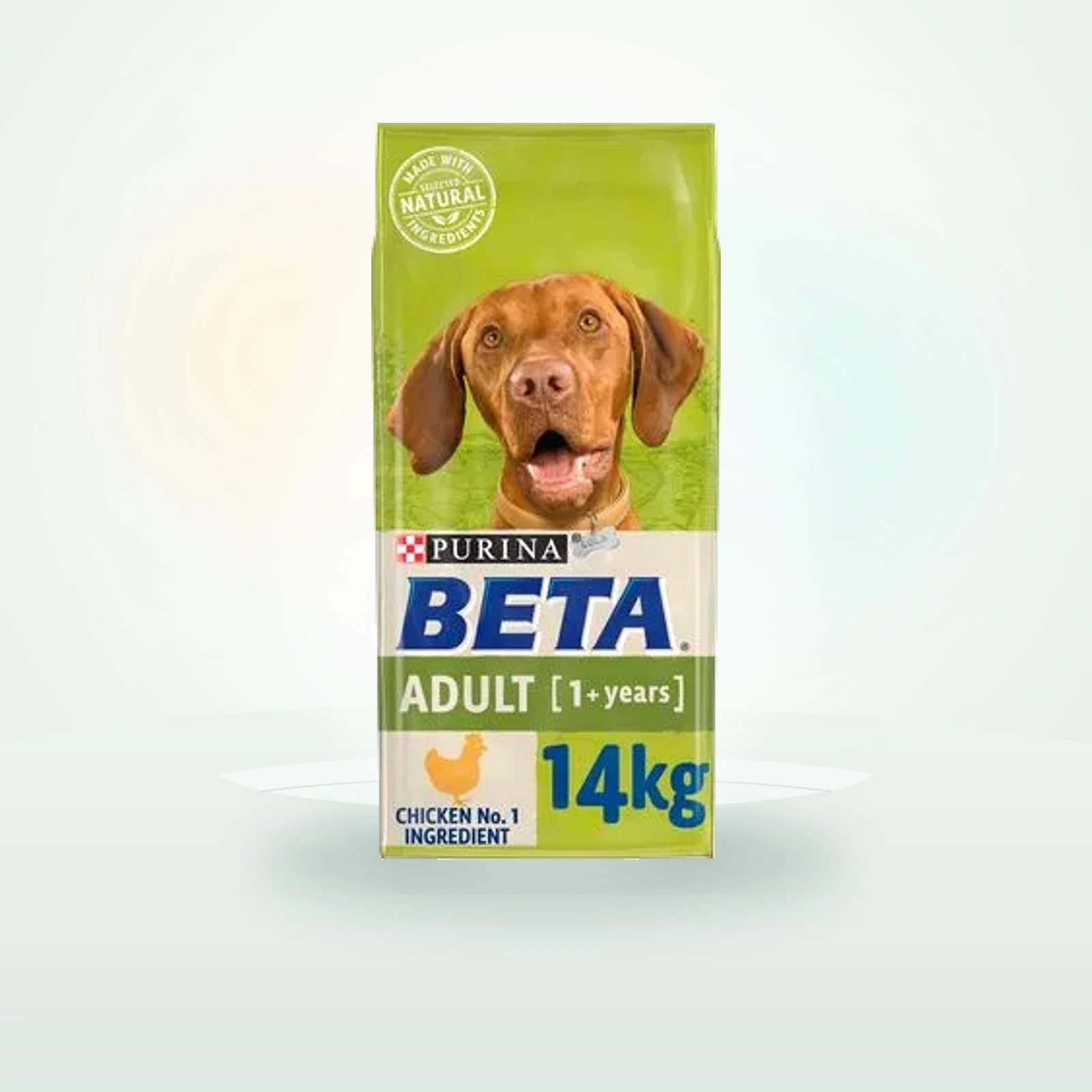 BETA Adult Chicken