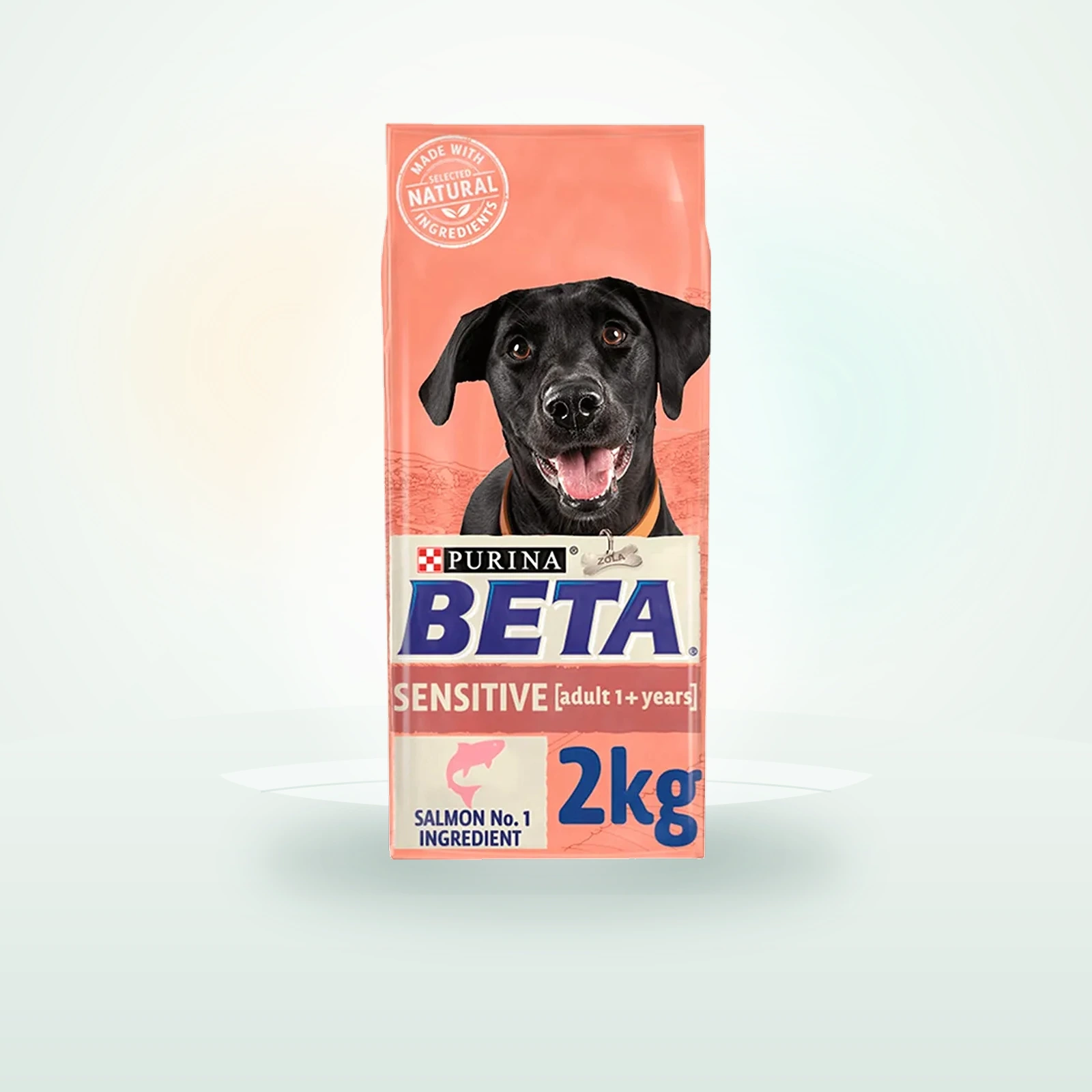 Beta Sensitive Adult Dry Dog Food Salmon