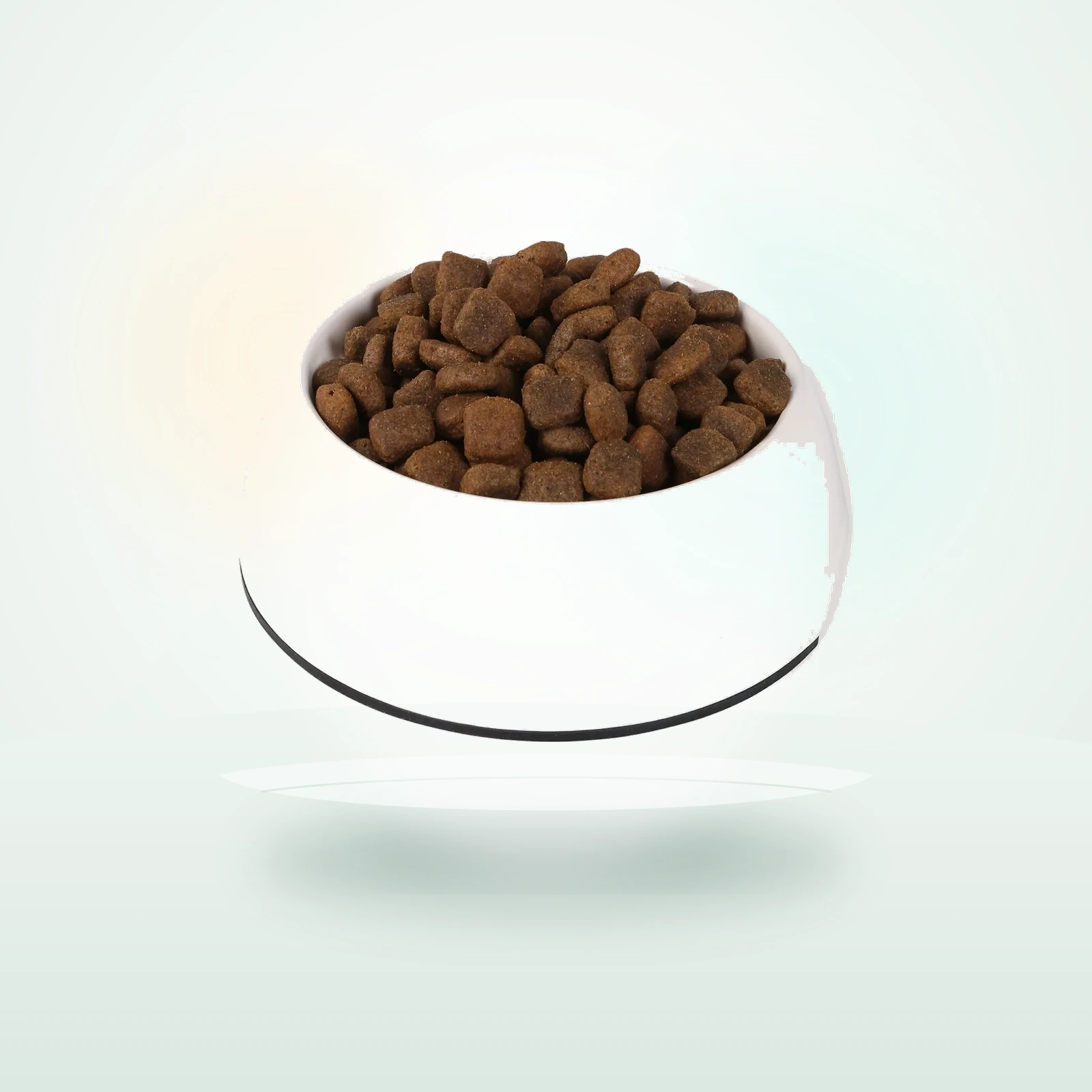 Bosch PLUS Hunde-Trockenfutter Forelle & Kartoffel