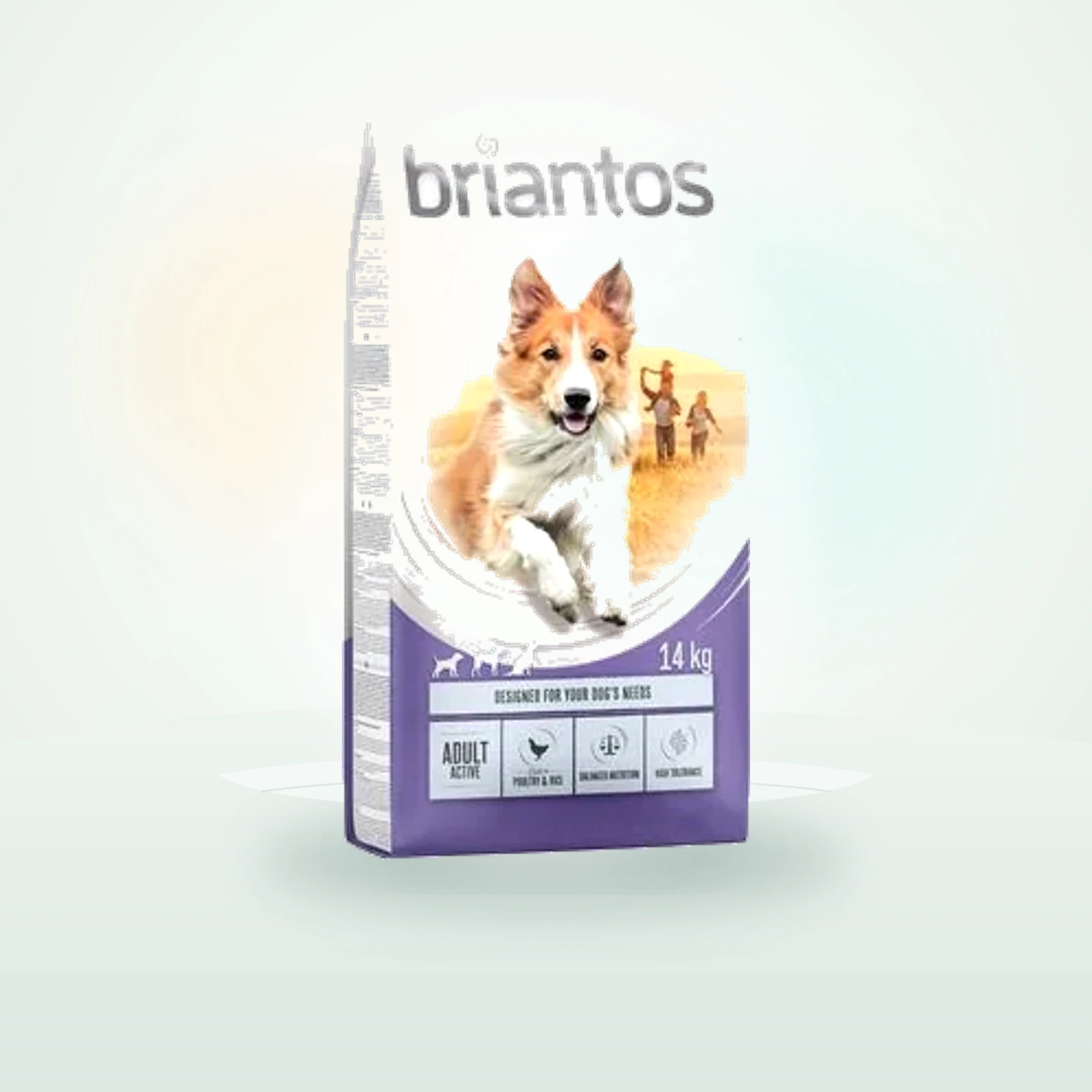 Briantos Adult Active