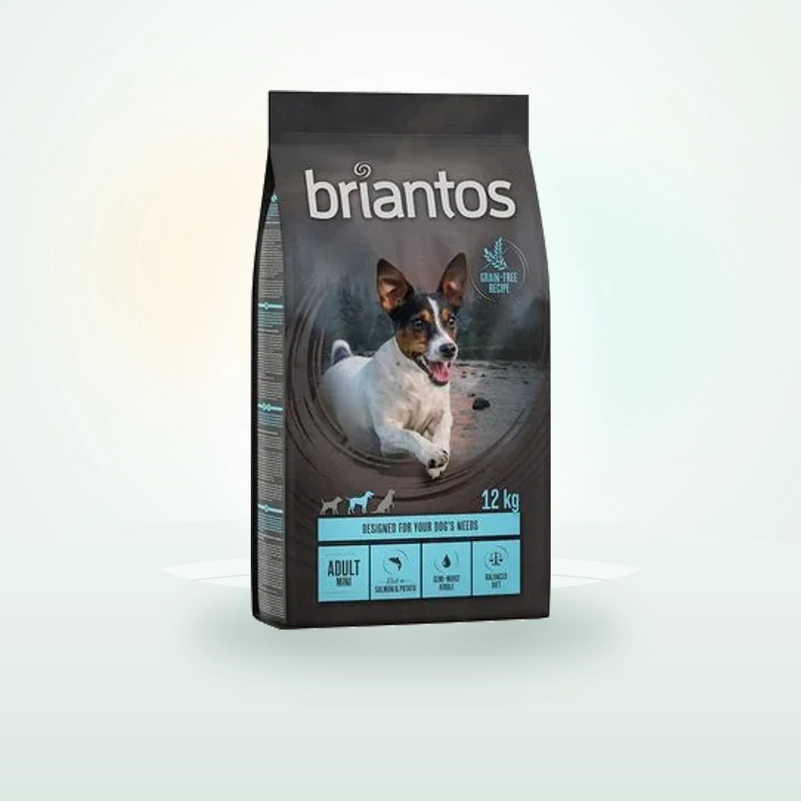 Briantos Adult Mini Grain-Free Salmon & Potato
