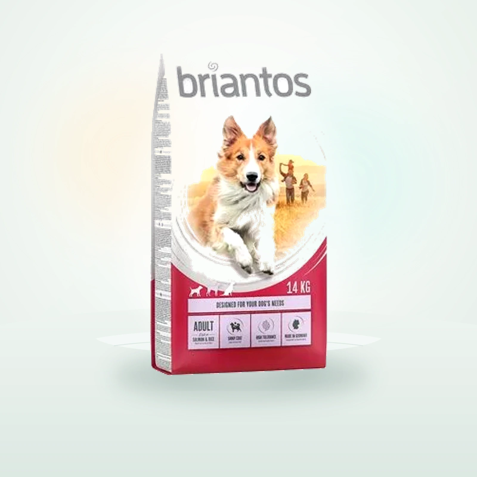 Briantos Adult Salmón y arroz