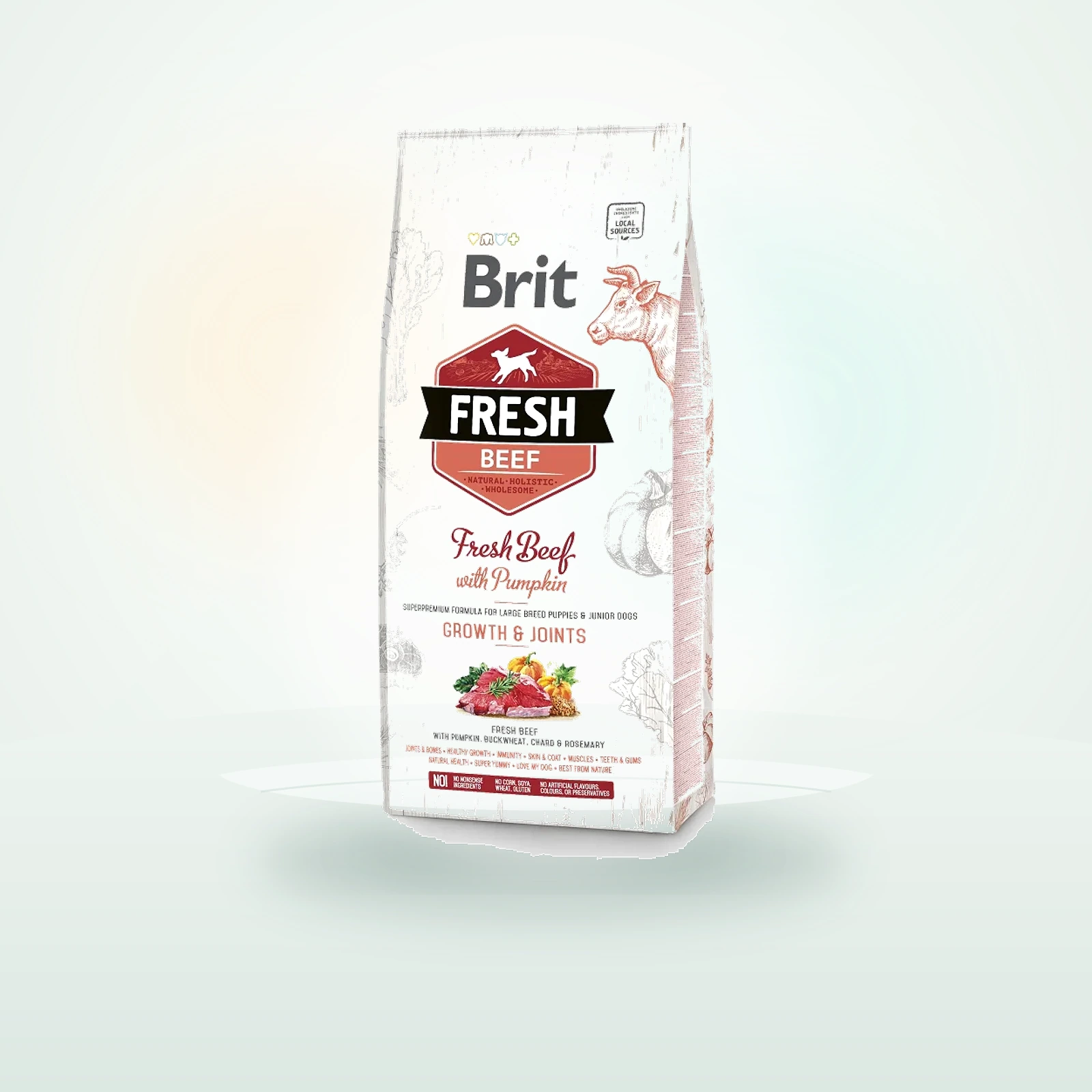 Brit Care Fresh beef with pumpkin puppy large