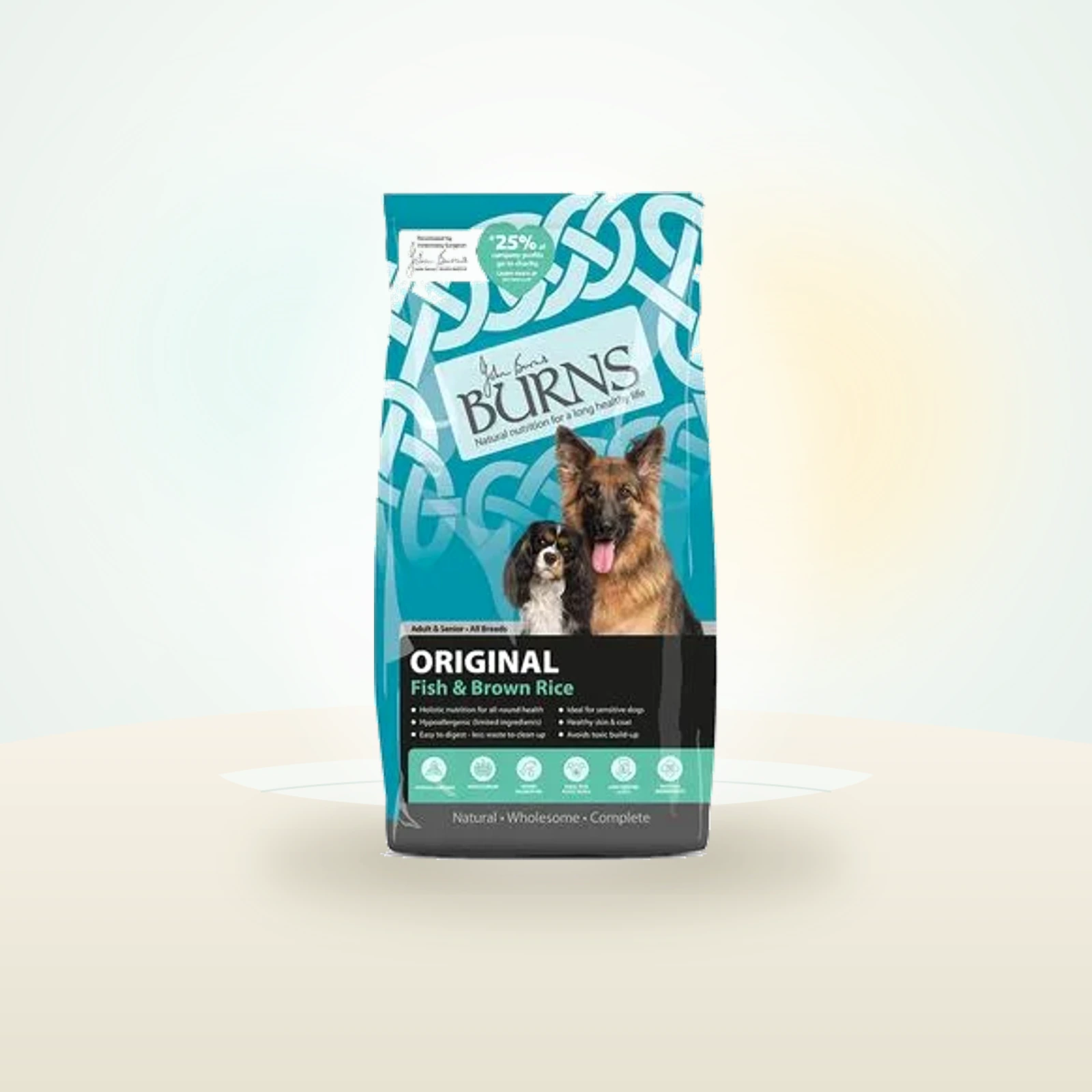 Burns Adult & Senior Original Fisk & brune ris