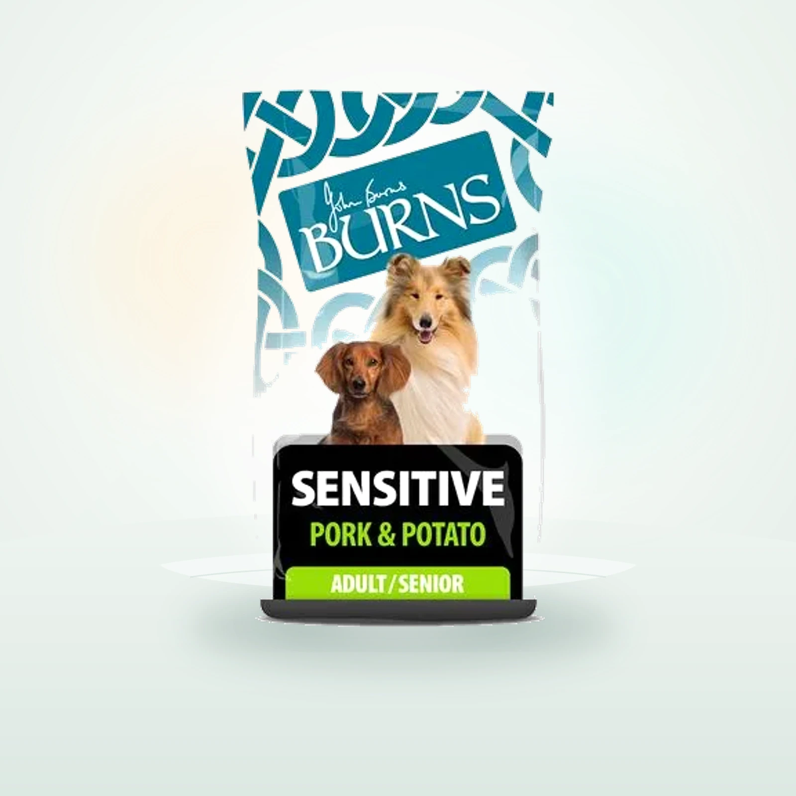 Burns Adult & Senior Sensitive cerdo y patata