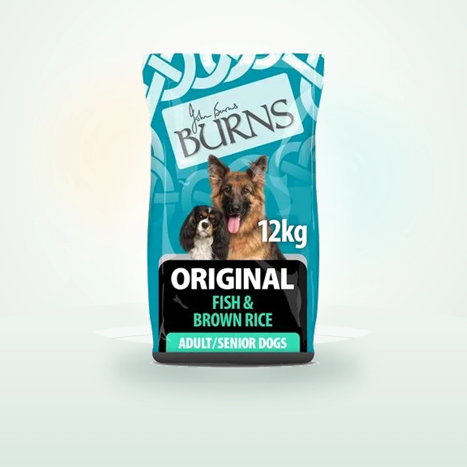 Burns Adult & Senior Original poisson, riz brun pour chien