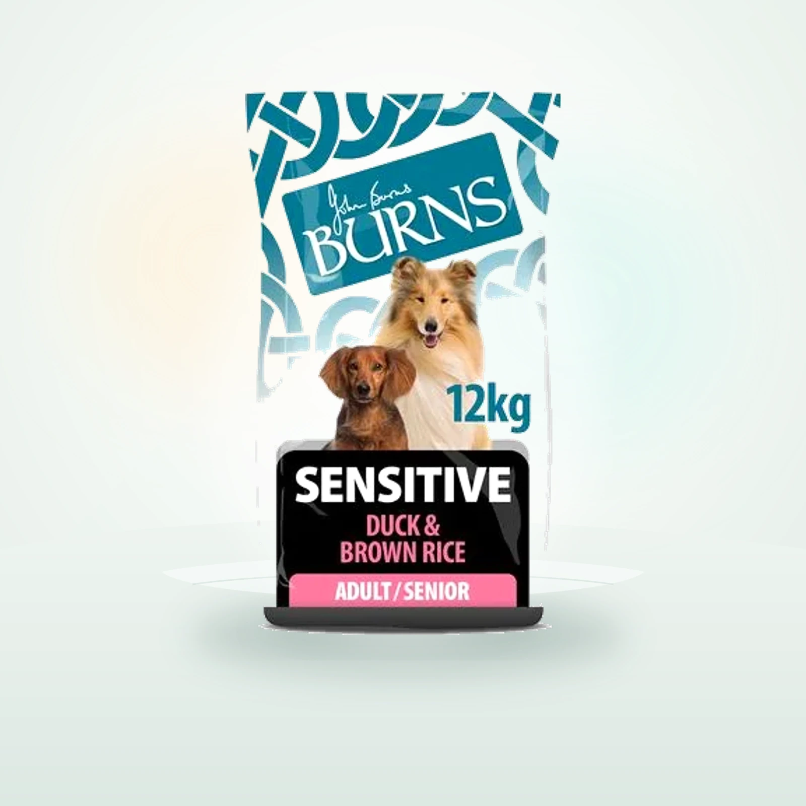 Burns Adult & Senior Sensitive Anatra & Riso integrale