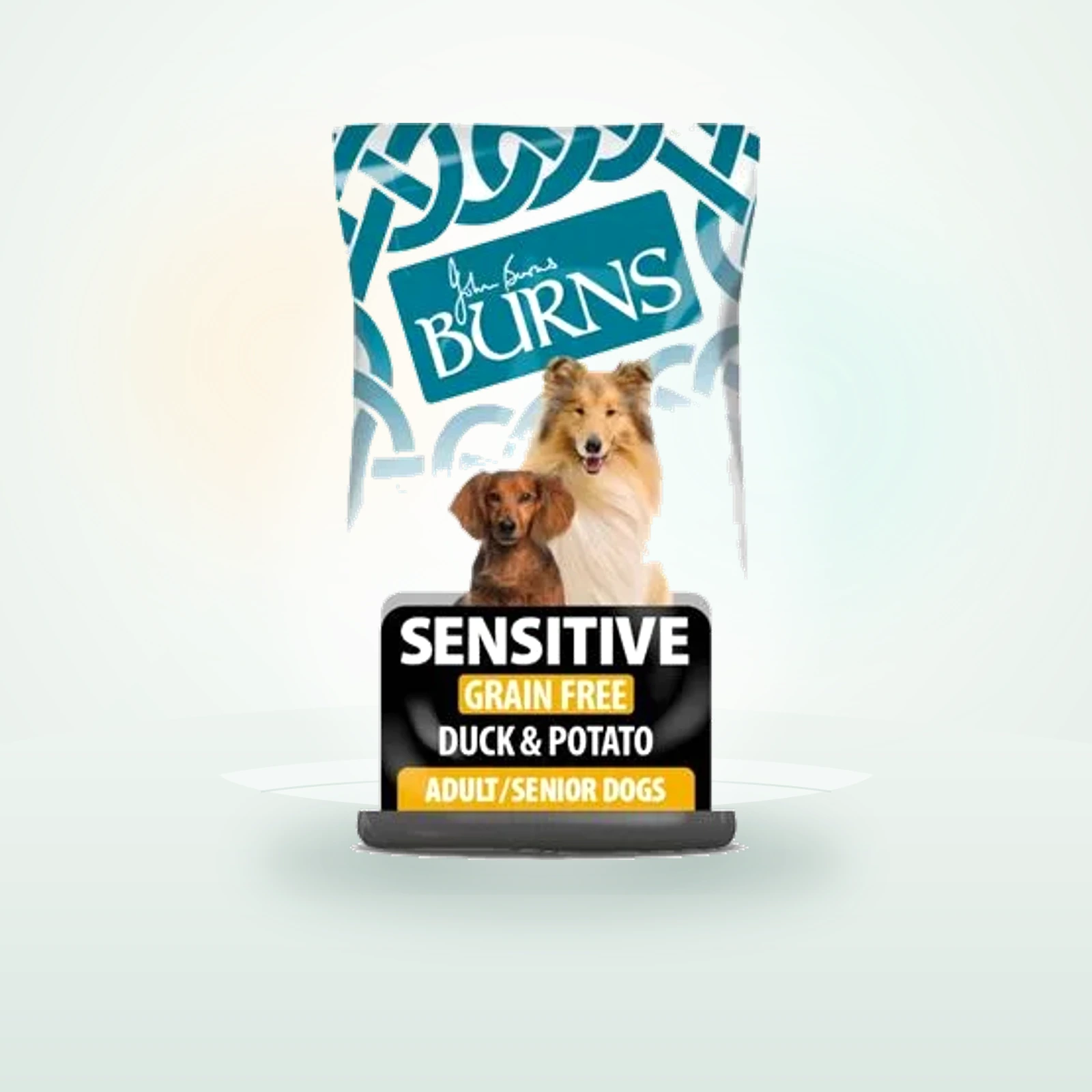 Burns Adult & Senior Sensitive canard et pomme de terre