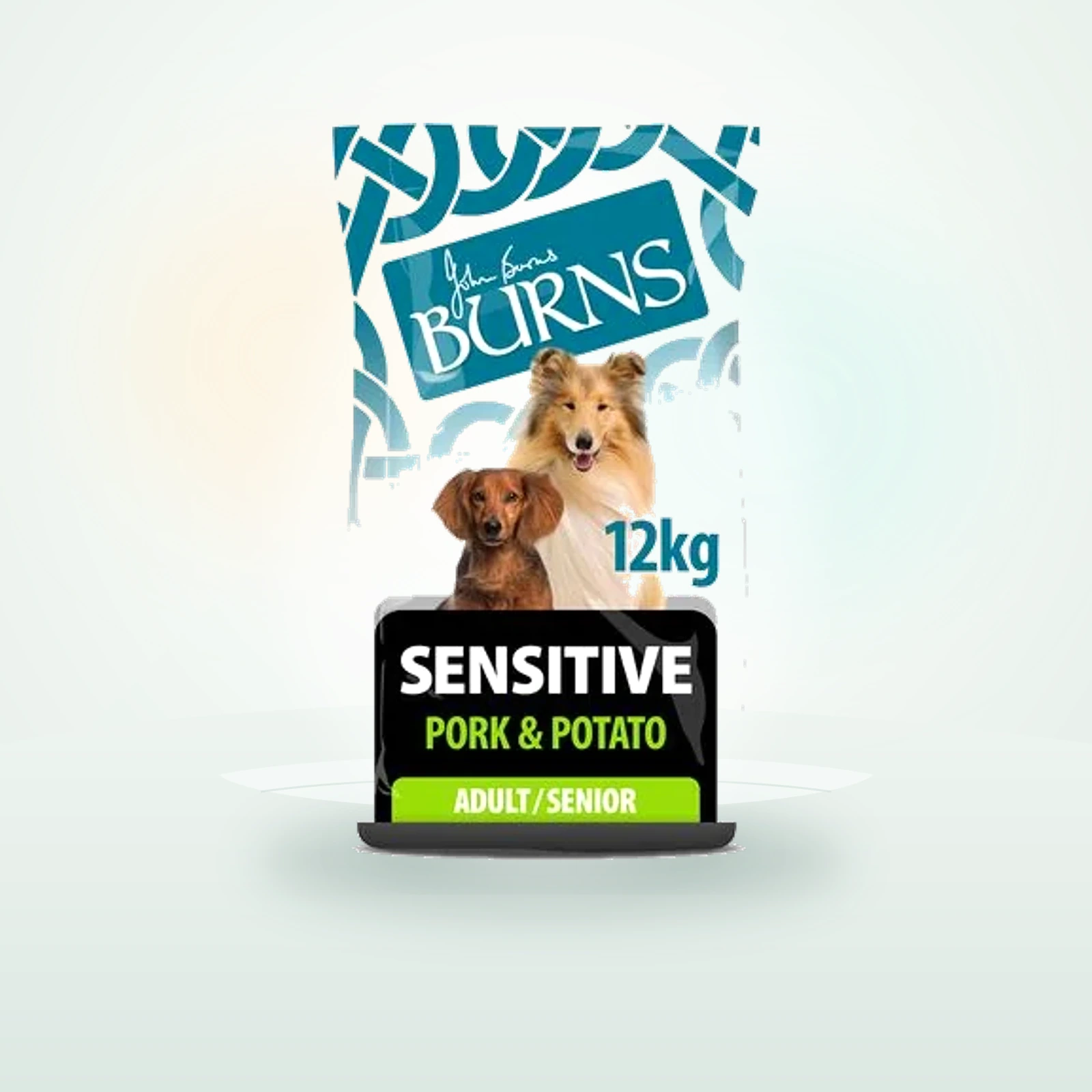 Burns Adult & Senior Sensitive Pork & Potato