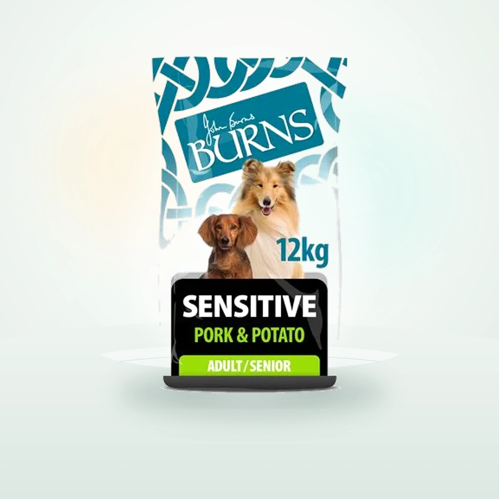 Burns Adult & Senior Sensitive Schwein & Kartoffel