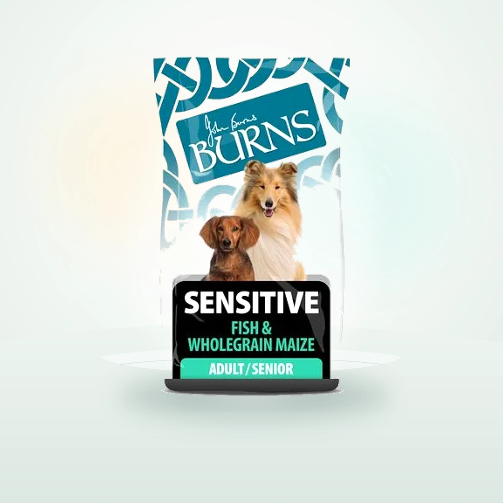 Burns Adult & Senior Sensitive