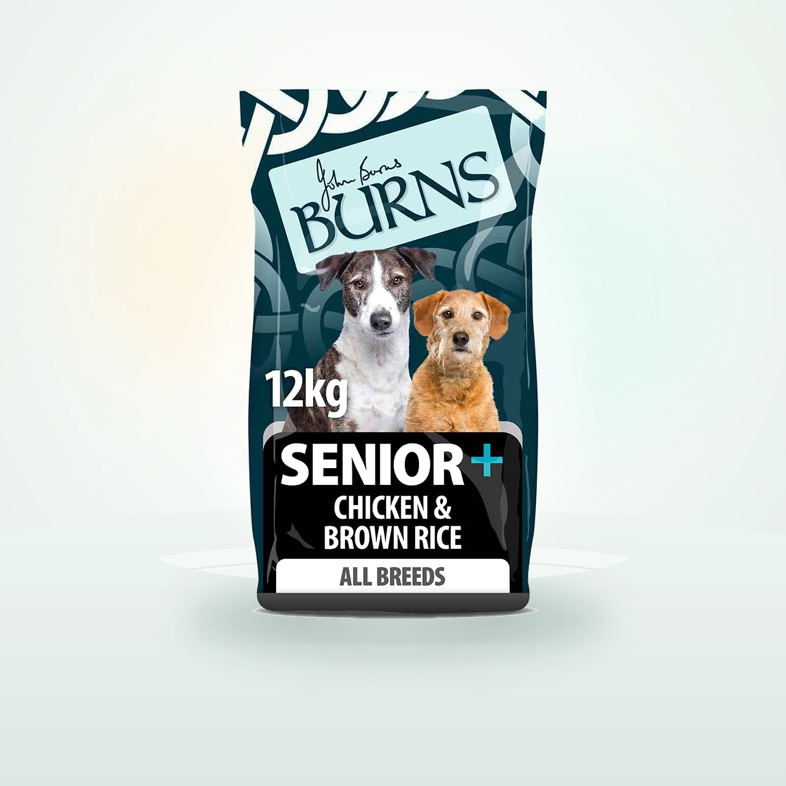 Burns Senior+ Dry Dog Food - Chicken & Brown Rice