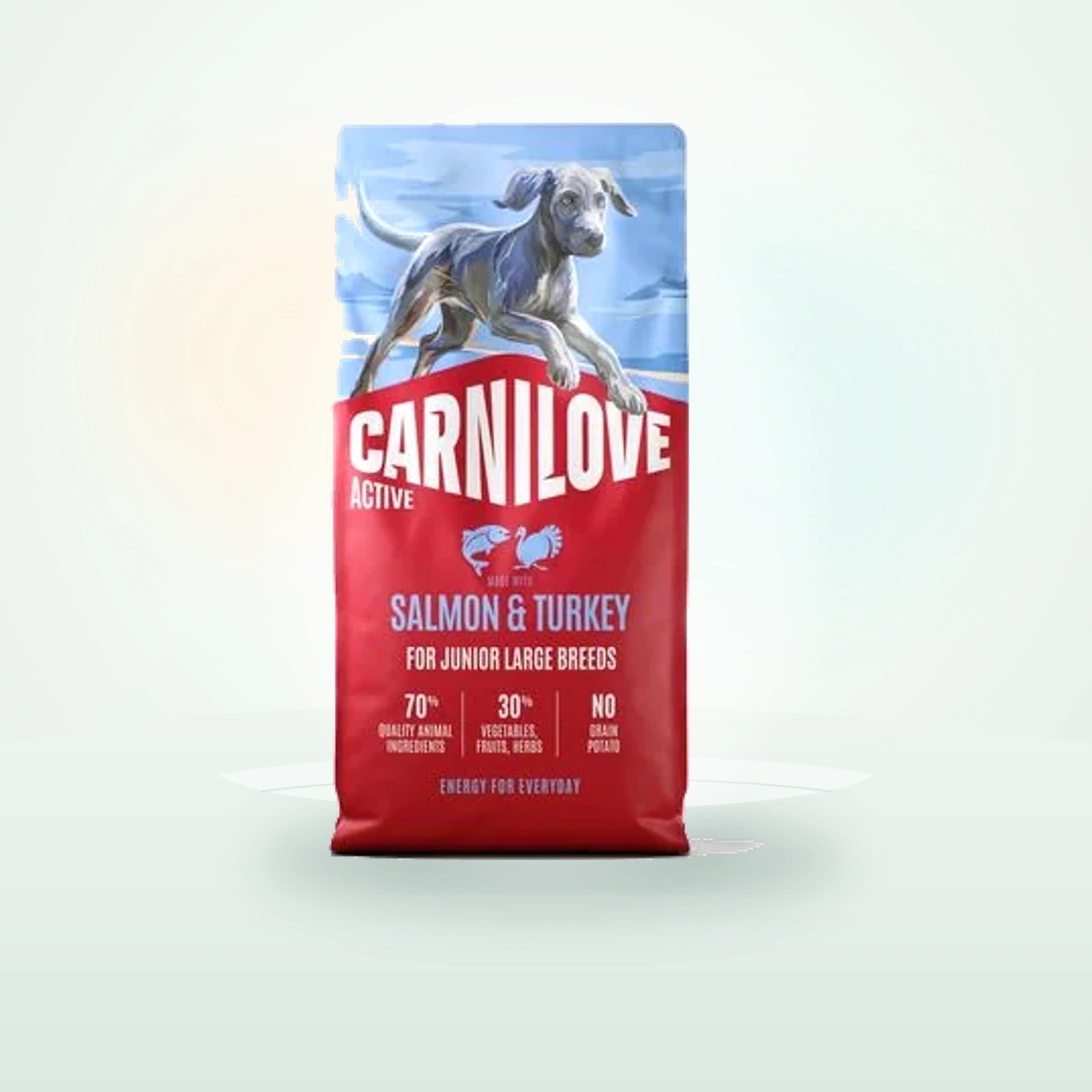Carnilove Active Junior Large Breed Salmon & Turkey
