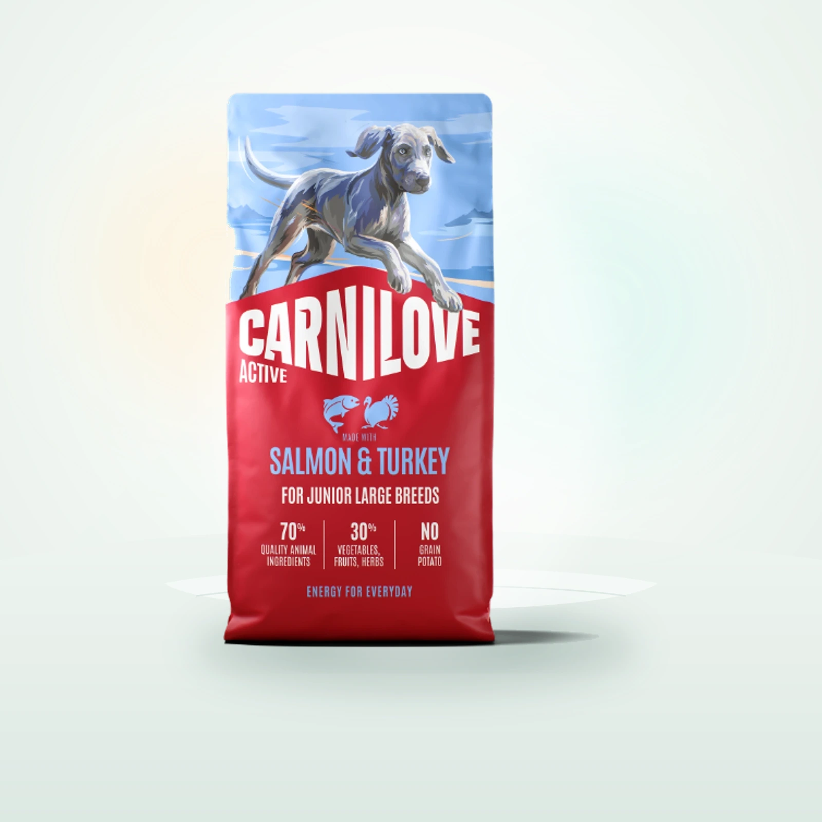Carnilove Active Large Breed Junior Dry Dog Food - Salmon & Turkey