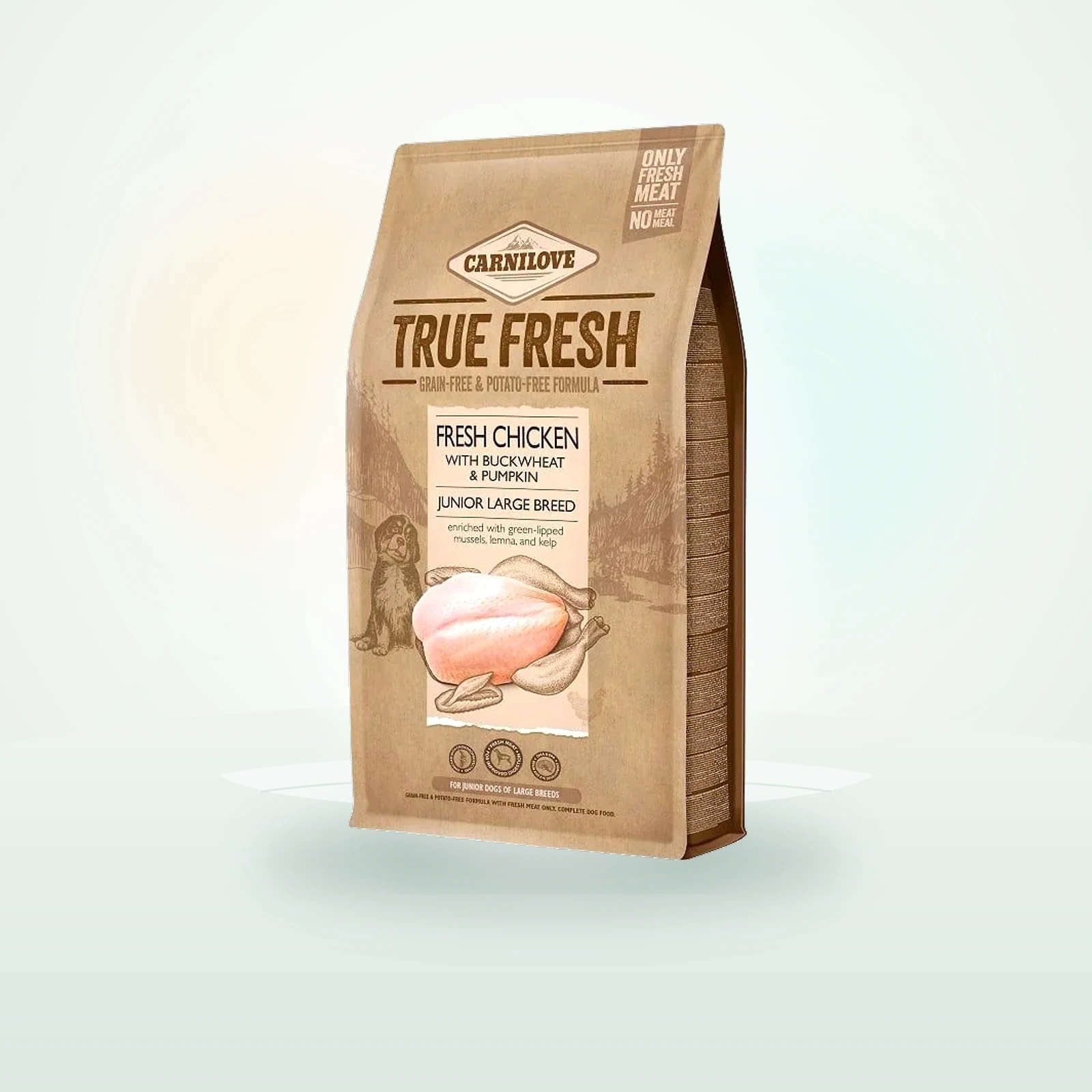 Carnilove True Fresh Chicken Junior Large breed dla szczeniąt dużych ras