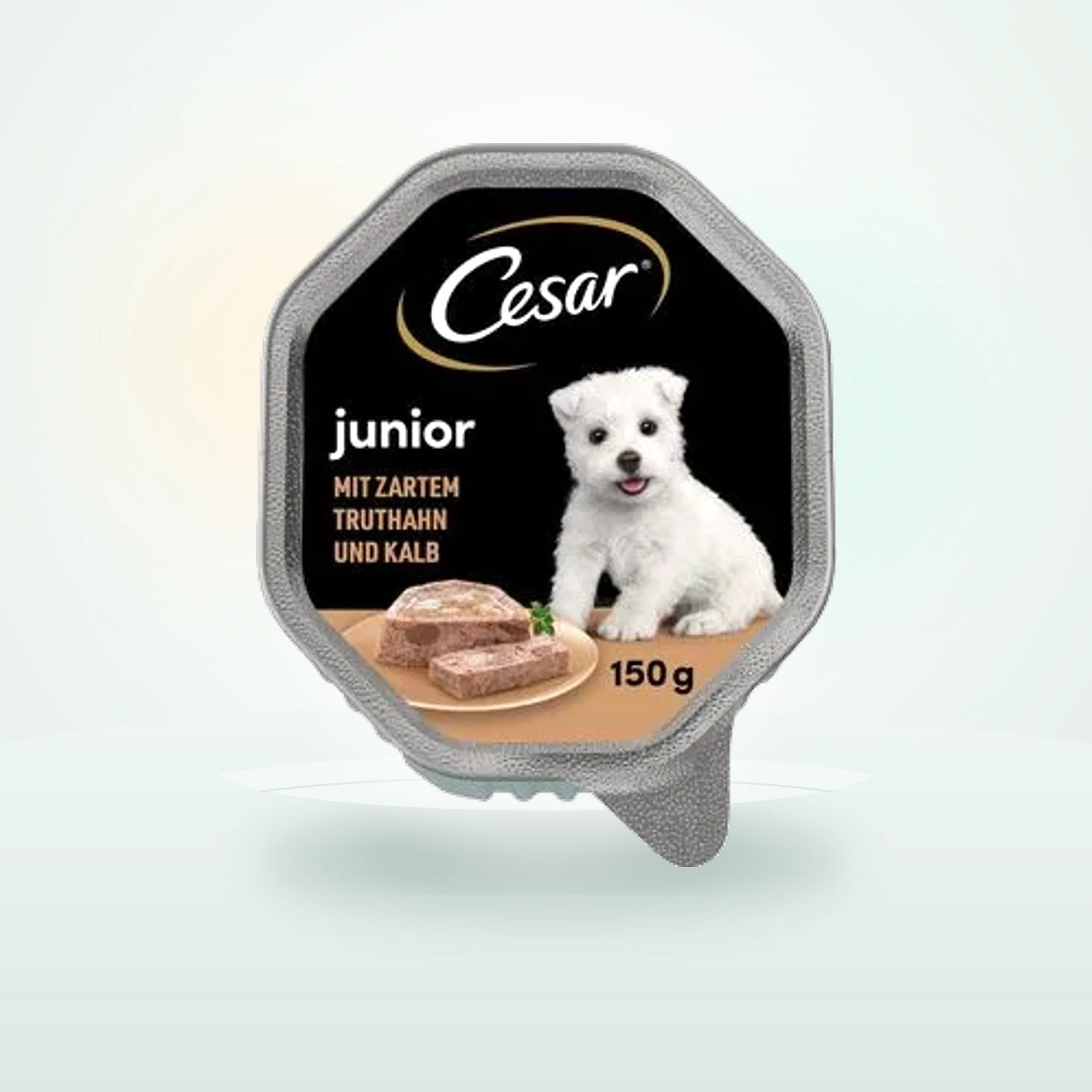 Cesar Barquettes Cesar Junior