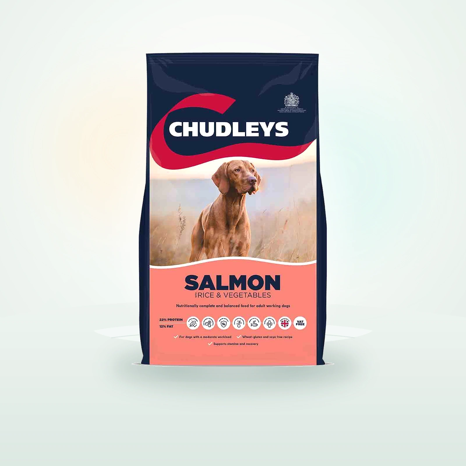 Chudleys Working Dog Dry Dog Food - Salmon with Rice & Vegetables