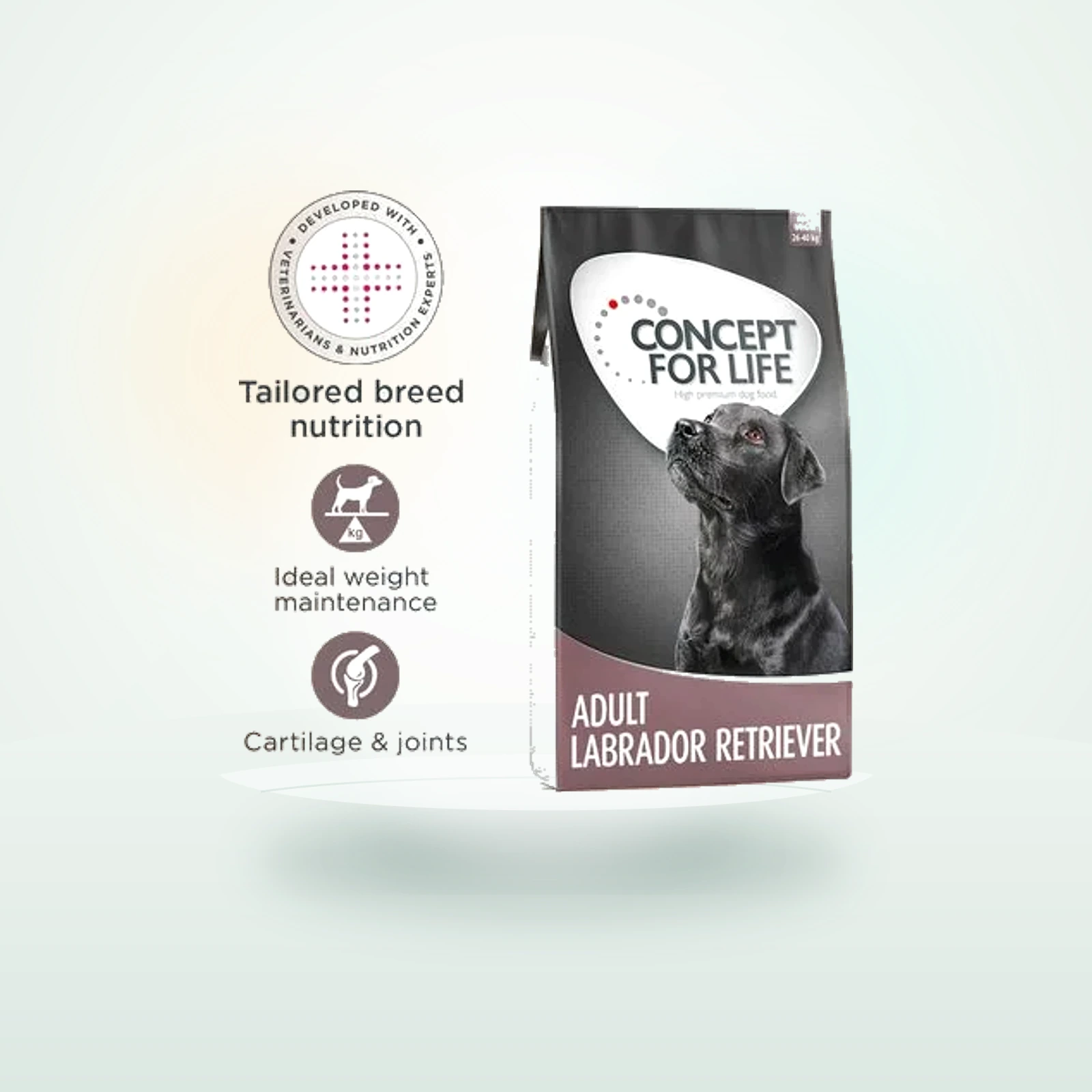 Concept for Life Labrador Retriever Adult