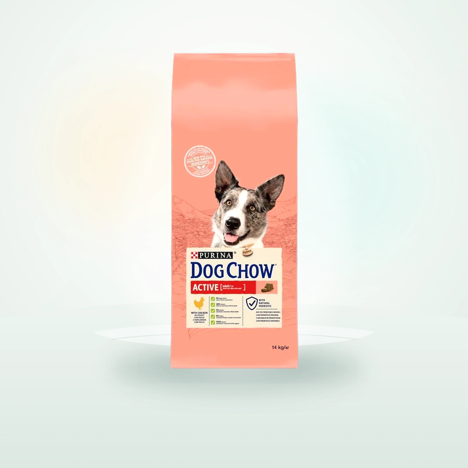 Dog Chow Active Pollo