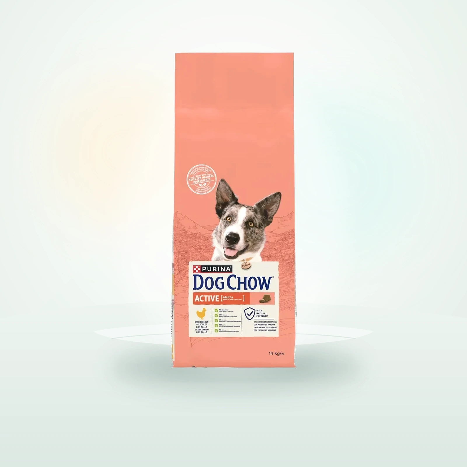Dog Chow Purina Dog Chow Light Tacchino