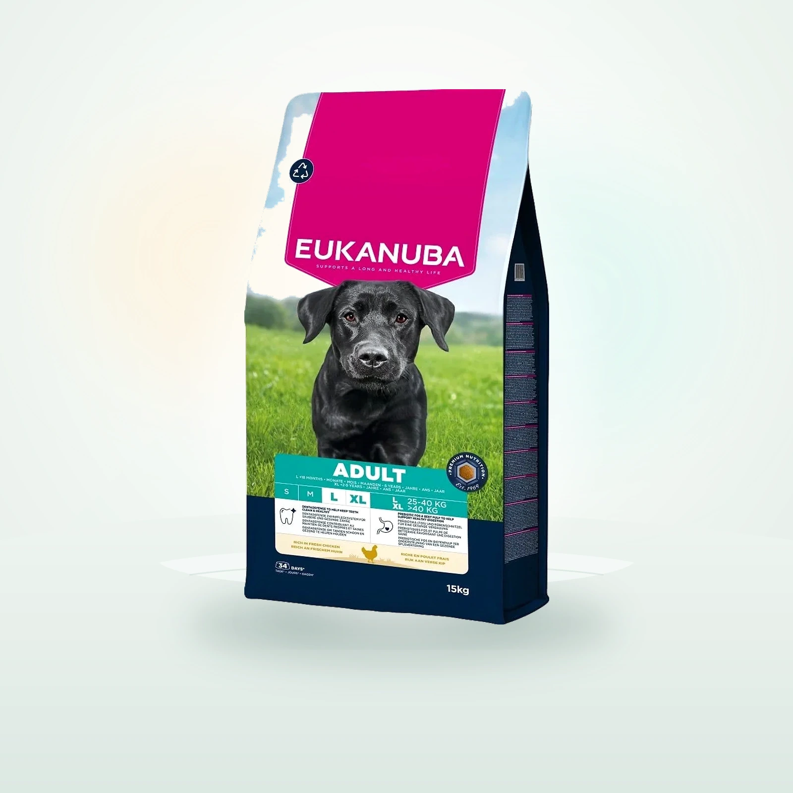 Eukanuba Adult Large Breeds Chicken sucha karma dla psów dużych ras bogata w świeżego kurczaka