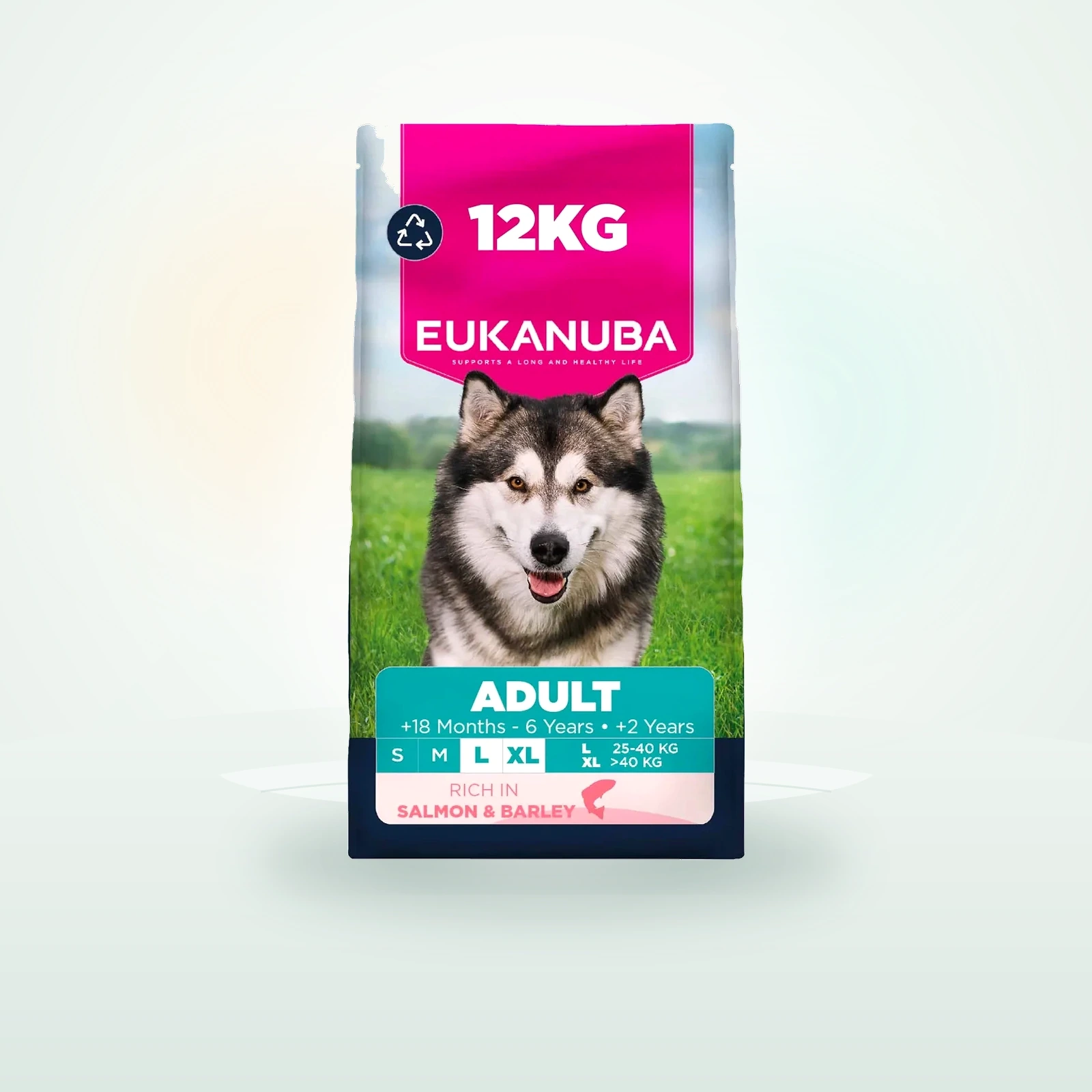 Eukanuba Large Breed Adult Dry Dog Food - Salmon & Barley